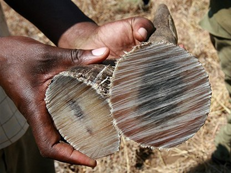 cach-cham-soc-suc-khoe-cung-gop-phan-suy-kiet-tai-nguyen