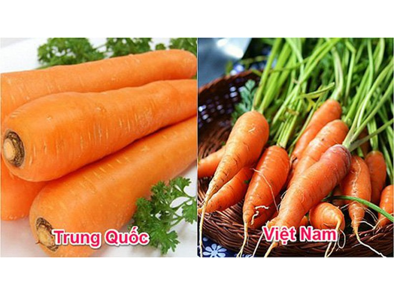 cach-phan-biet-rau-cu-qua-trung-quoc-va-da-lat