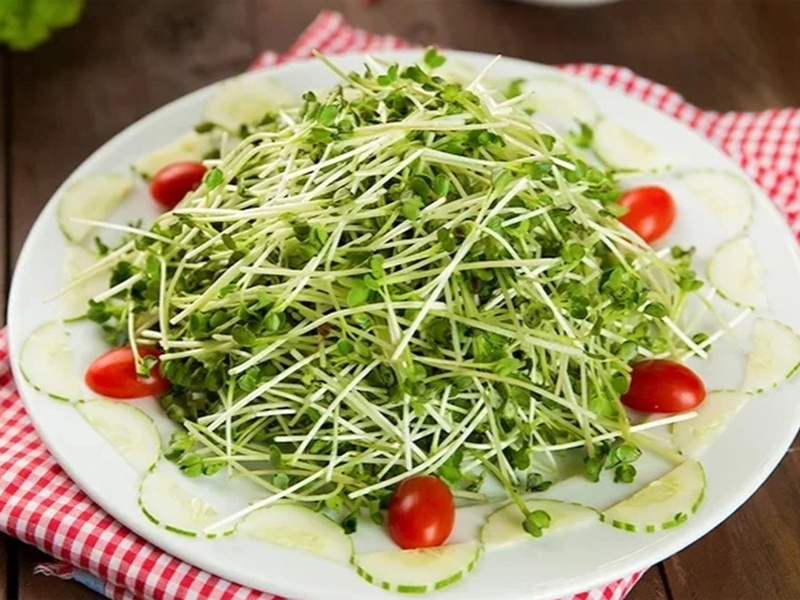 dieu-gi-xay-ra-khi-ban-an-rau-mam-hang-ngay