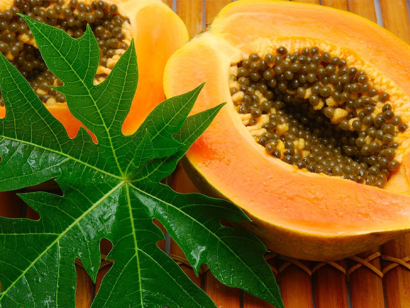 khong-chi-la-hat-du-du-cung-chua-ung-thu