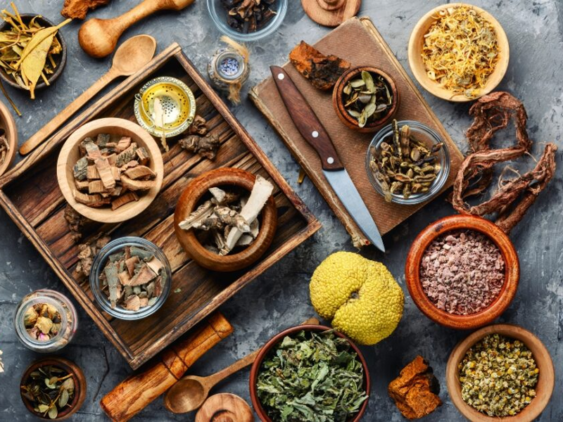 nhung-nguoi-phu-nu-lam-nen-dien-mao-thao-duoc-viet