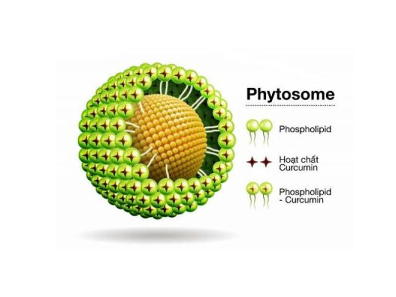 tang-hieu-qua-dieu-tri-tri-voi-hoat-chat-tu-nghe-meriva