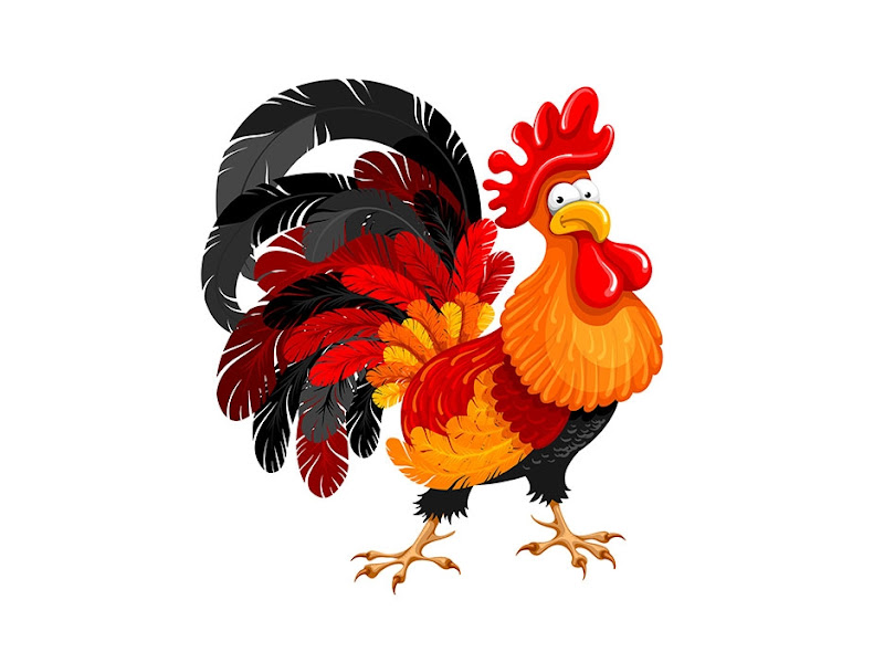 y-nghia-nam-ga-voi-suc-khoe-cua-ban